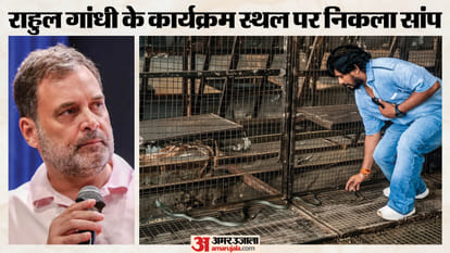 राहुल गांधी के कार्यक्रम स्थल पर अचानक निकला सांप।