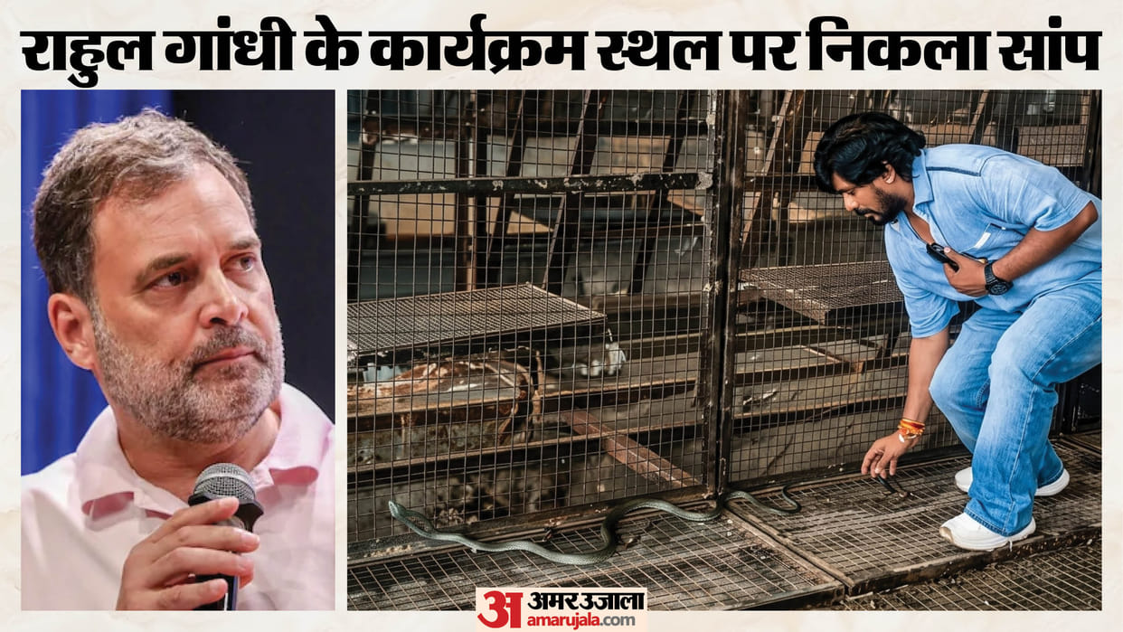 indore-rahul-gandhi-event-venue-snake-rescue-preparations-resume-today