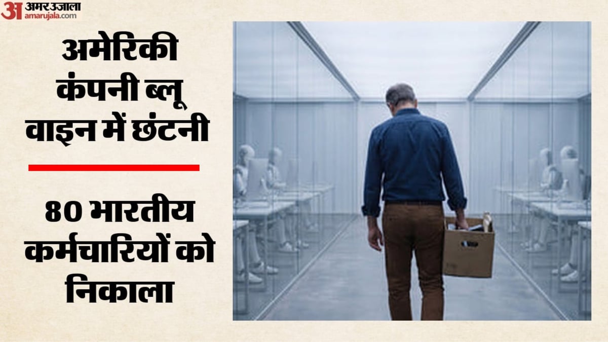 ब्लूवाइन ने 5 मिनट की गूगल मीट कॉल में 80 भारतीय कस्टमर सर्विस कर्मचारियों को बर्खास्त किया