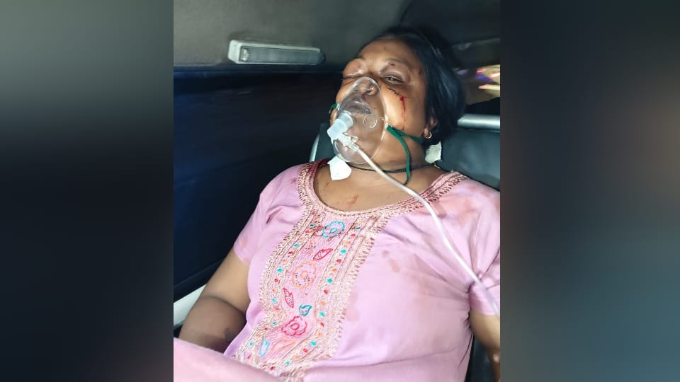 लक्ष्मी की फाइल फोटो।