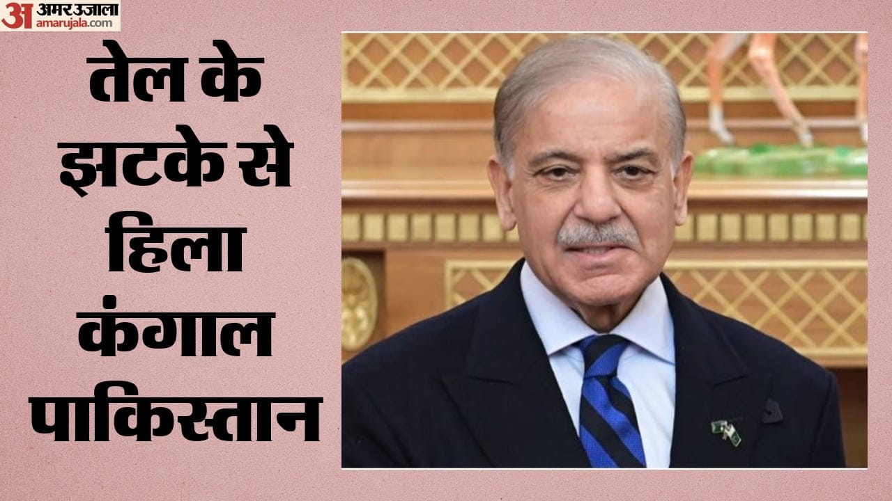 शहबाज शरीफ, पाकिस्तानी प्रधानमंत्री
