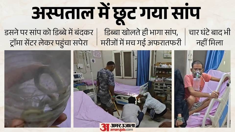 snake charmer arrived at trauma center of Medical College carrying snake in box causing commotion in Firozabad