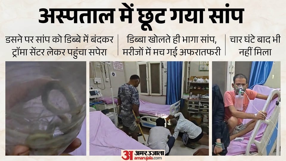 snake charmer arrived at trauma center of Medical College carrying snake in box causing commotion in Firozabad