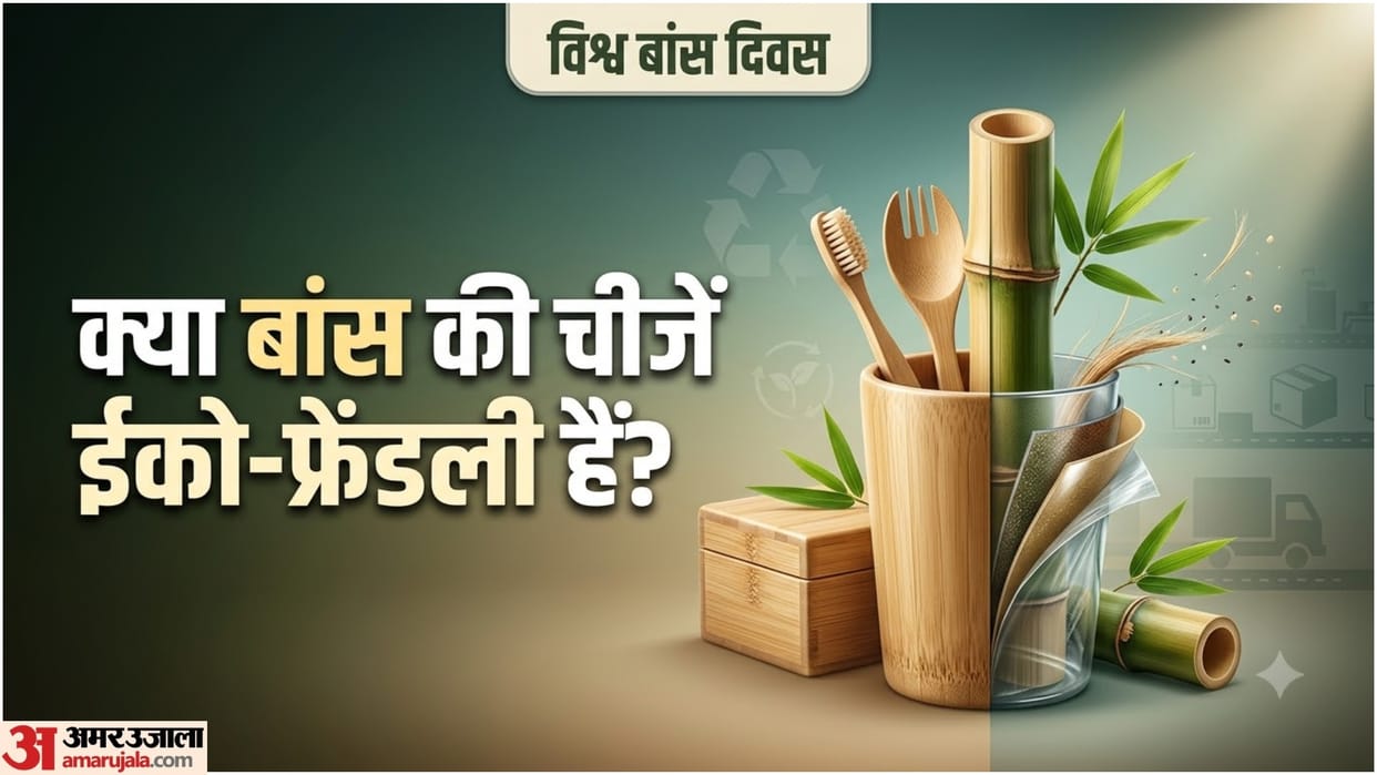 World Bamboo Day 2026: Are Bamboo Products Really Eco-Friendly? 7 Things You Must Know Before Buying