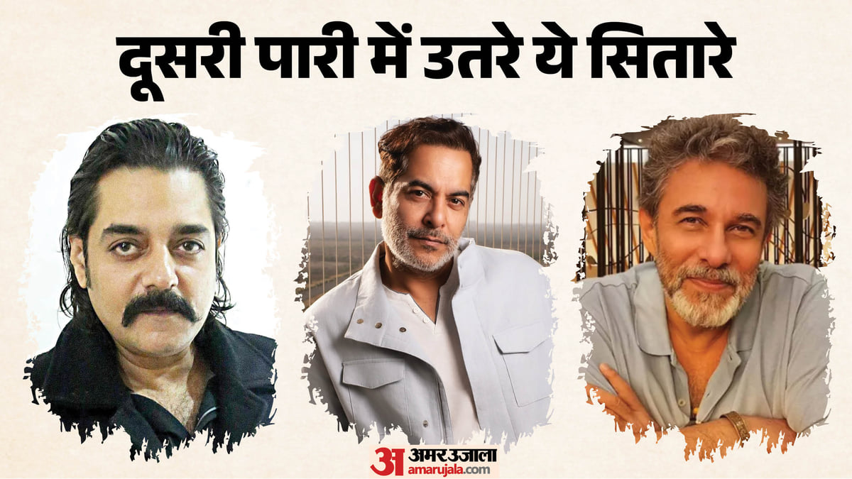 स्टारडम पुराना..किरदार नए, हीरो से विलेन और फिर साइड रोल तक; कैसी रही इन सितारों की दूसरी पारी?