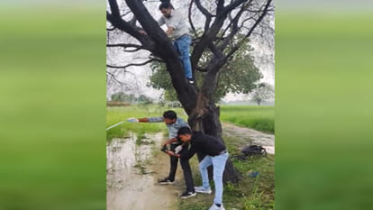 Kanpur: Bodies of a couple found hanging from a tree
