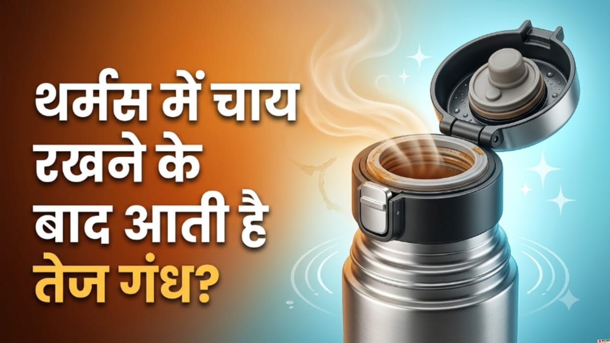 Why Does the Thermos Lid Smell After Storing Tea The Most Ignored Part Could Be the Cause