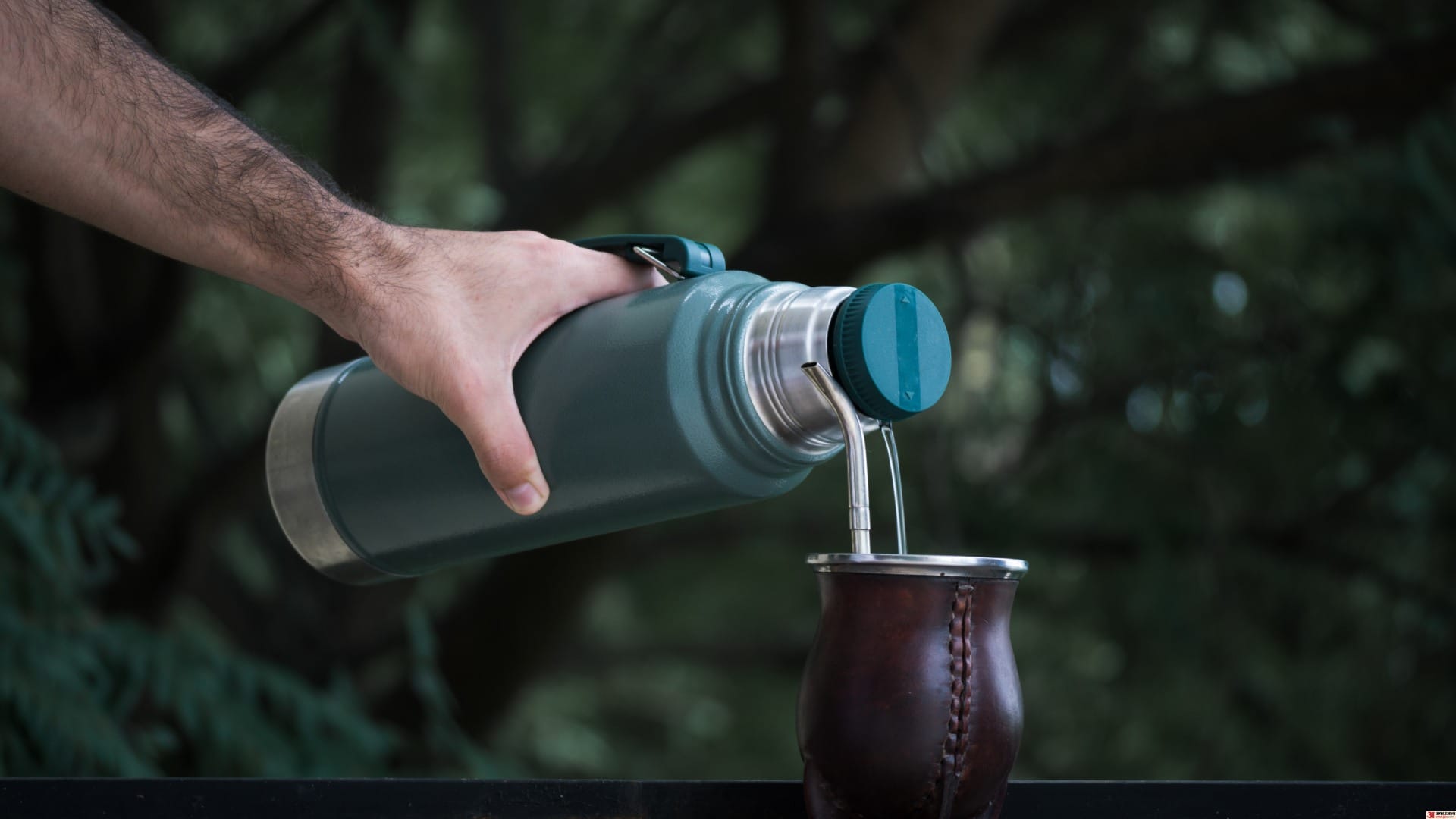 Why Does the Thermos Lid Smell After Storing Tea The Most Ignored Part Could Be the Cause