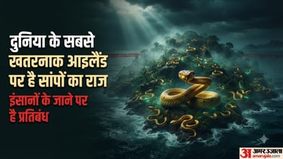 दुनिया का सबसे खतरनाक और रहस्यमयी आइलैंड, जहां हर कदम पर टहलती है मौत