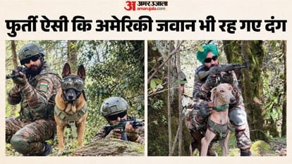 भारतीय सेना के डॉग्स।