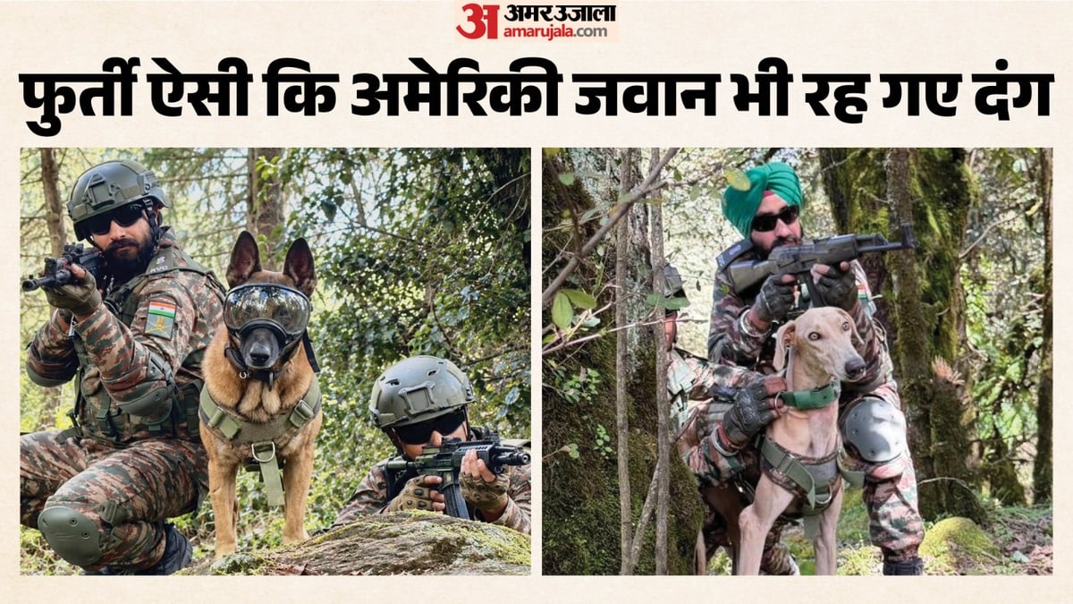 विक्टर-राउडी की फैन हुई अमेरिकी सेना: भारतीय सेना के डॉग्स ने दिखाया ऐसा करतब, ऑपरेशन सिंदूर में दिखाई थी ताकत