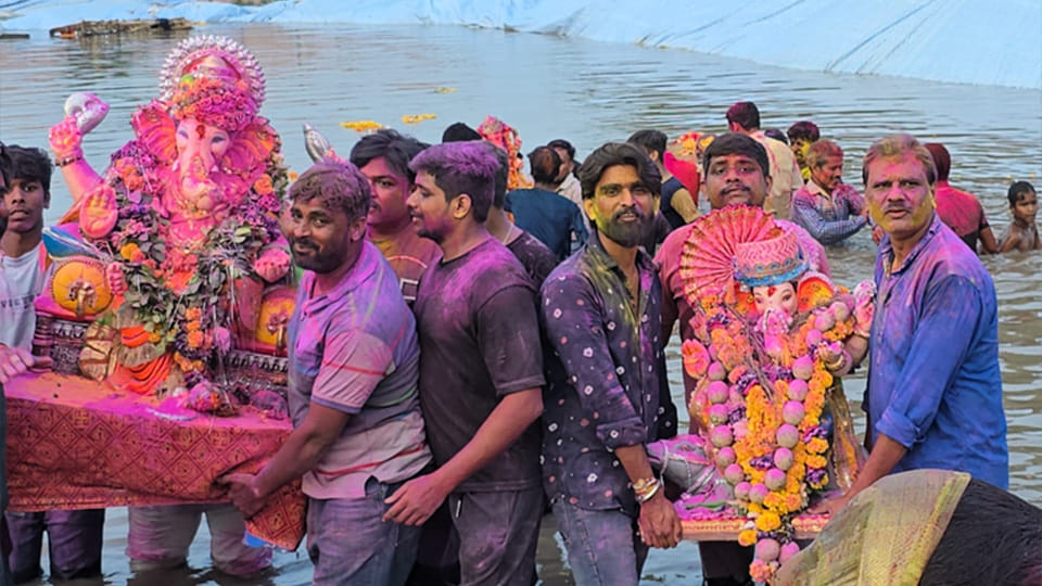 गणपति विसर्जन