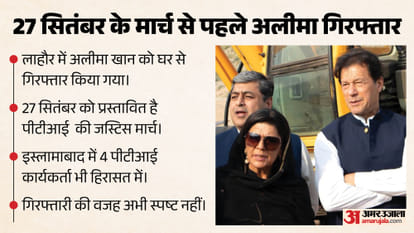 इमरान खान की बहन अलीमा खान