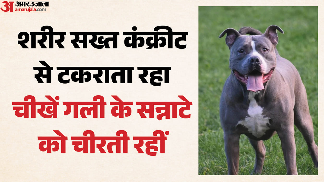 Pitbull tossed 12 year old Granth into air six times and sank its teeth into him in 16 places