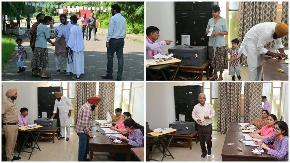 Voting for Senate elections begins in Chandigarh