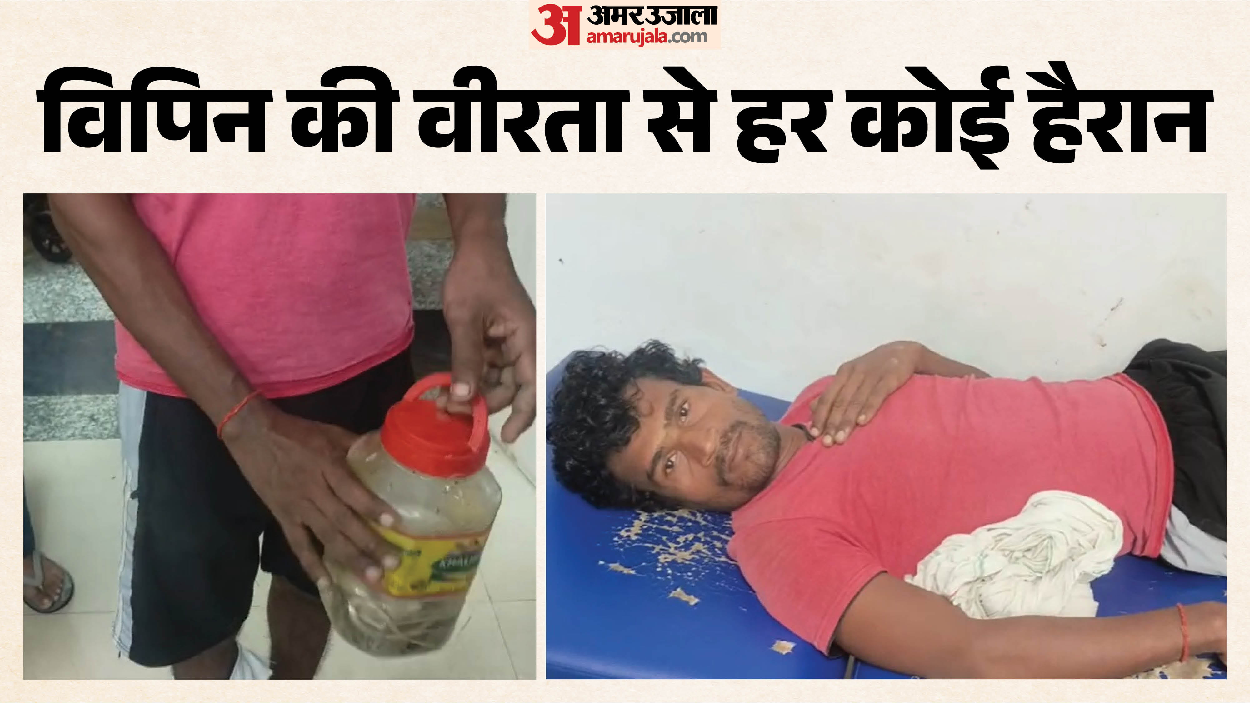 विपिन को सांप ने काटा