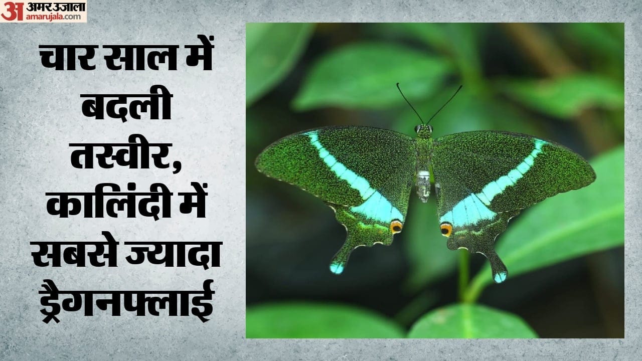 प्रतीक चित्र