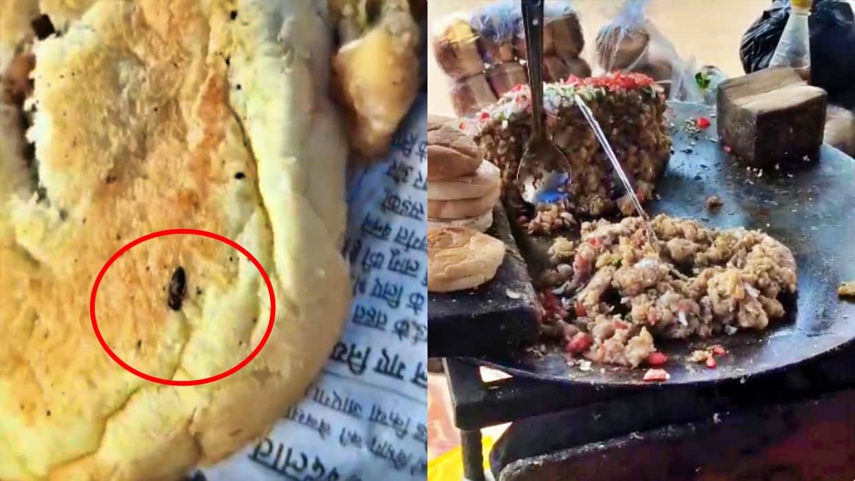 nalagarh kulcha bread worms viral video food quality concern