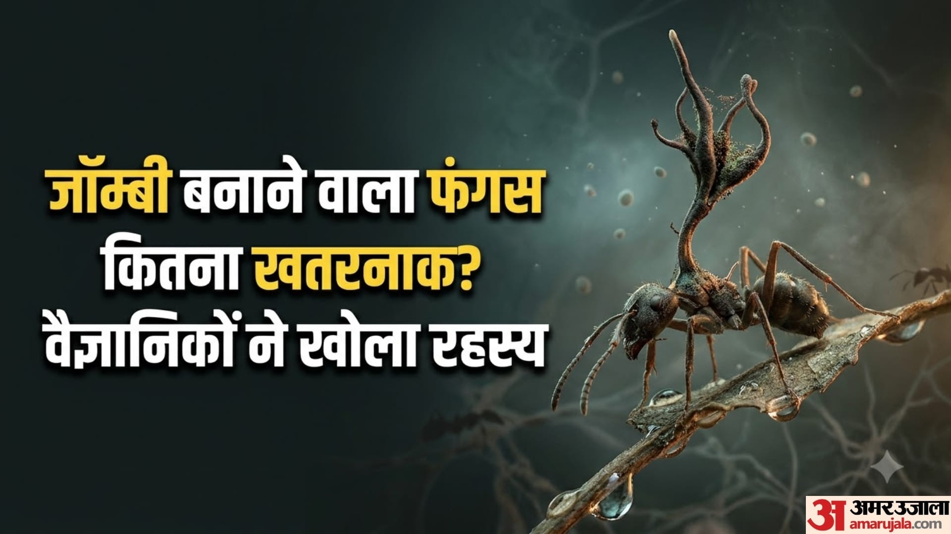 क्या असल जिंदगी में सच हो सकती है जॉम्बी वाली कहानी? वैज्ञानिकों का चौंकाने वाला जवाब