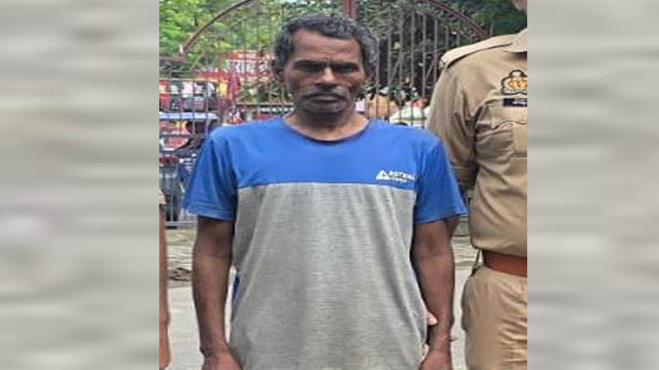 पुलिस गिरफ्त में आरोपी