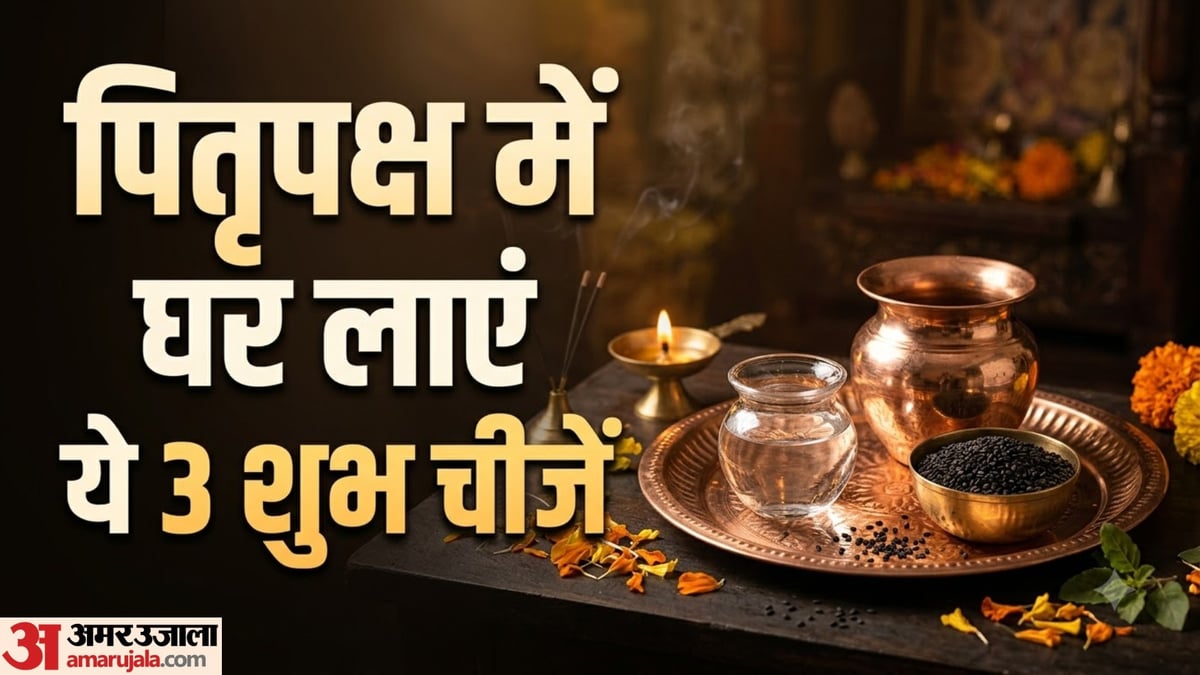 घर में जरूर लाएं ये चीजें, पितरों की शांति के लिए मानी जाती हैं शुभ