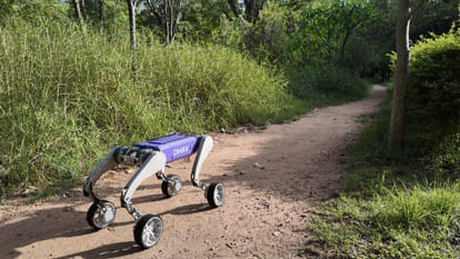 Kanpur: robot dog equipped with wheels and four legs will replace humans in hazardous environments