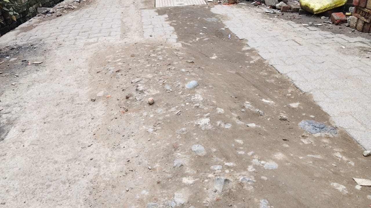 राबड़ी टोला की बदहाल सड़क