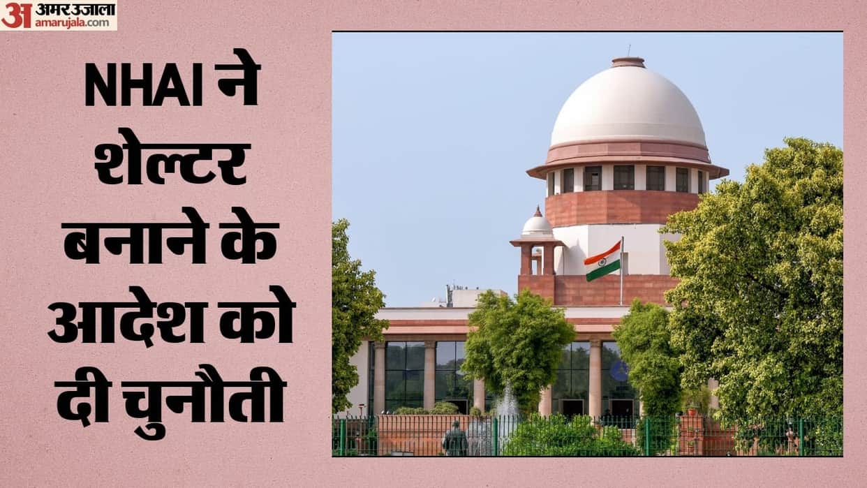 Build highways or animal shelters NHAI approaches Supreme Court over ₹7,000 crore expenditure what is the issu