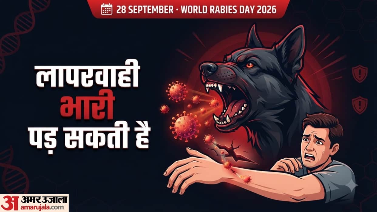 World Rabies Day 2026 does rabies happen due to dog licking or scratching