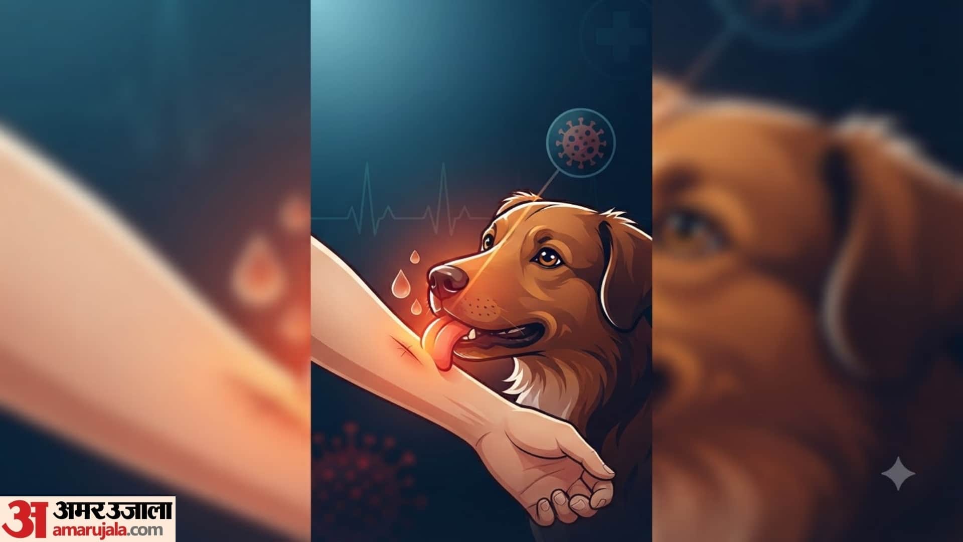 क्या कुत्ते के खरोंचने या चाटने से भी रेबीज हो सकता है?