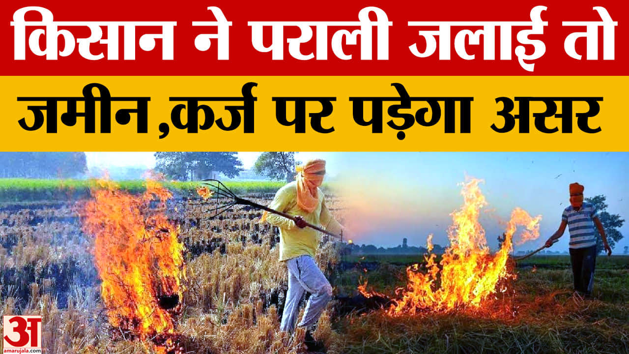 पराली जलाने पर 15 माह तक रेड एंट्री, दोबारा गलती पर बढ़ेगी अवधि