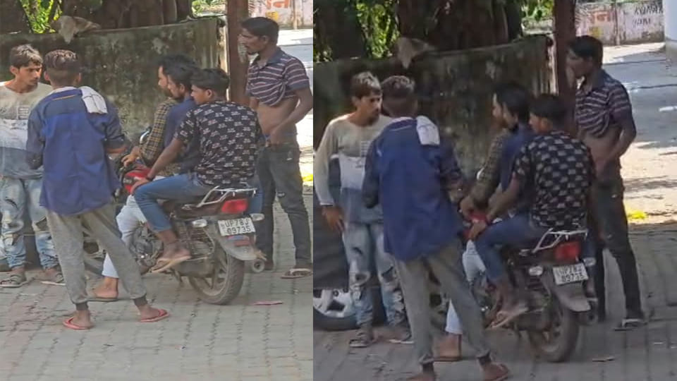Kanpur: Don't call it Kazikheda; call it 'Ganja Gali' (Cannabis Alley) instead