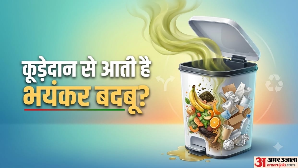 Wet and Dry Waste Together Why Your Dustbin Smells Bad Know all details inside
