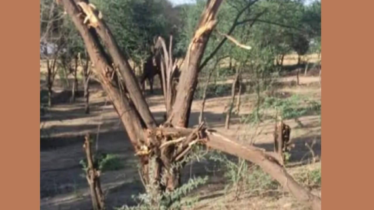 मौके की तस्वीर