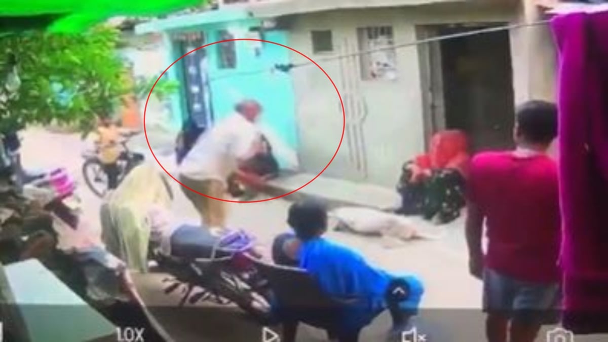 ग्वालियर में सिरफिरे का खौफनाक कदम: कुल्हाड़ी मारकर कुत्ते को उतारा मौत के घाट, घटना CCTV में कैद, मामला दर्ज