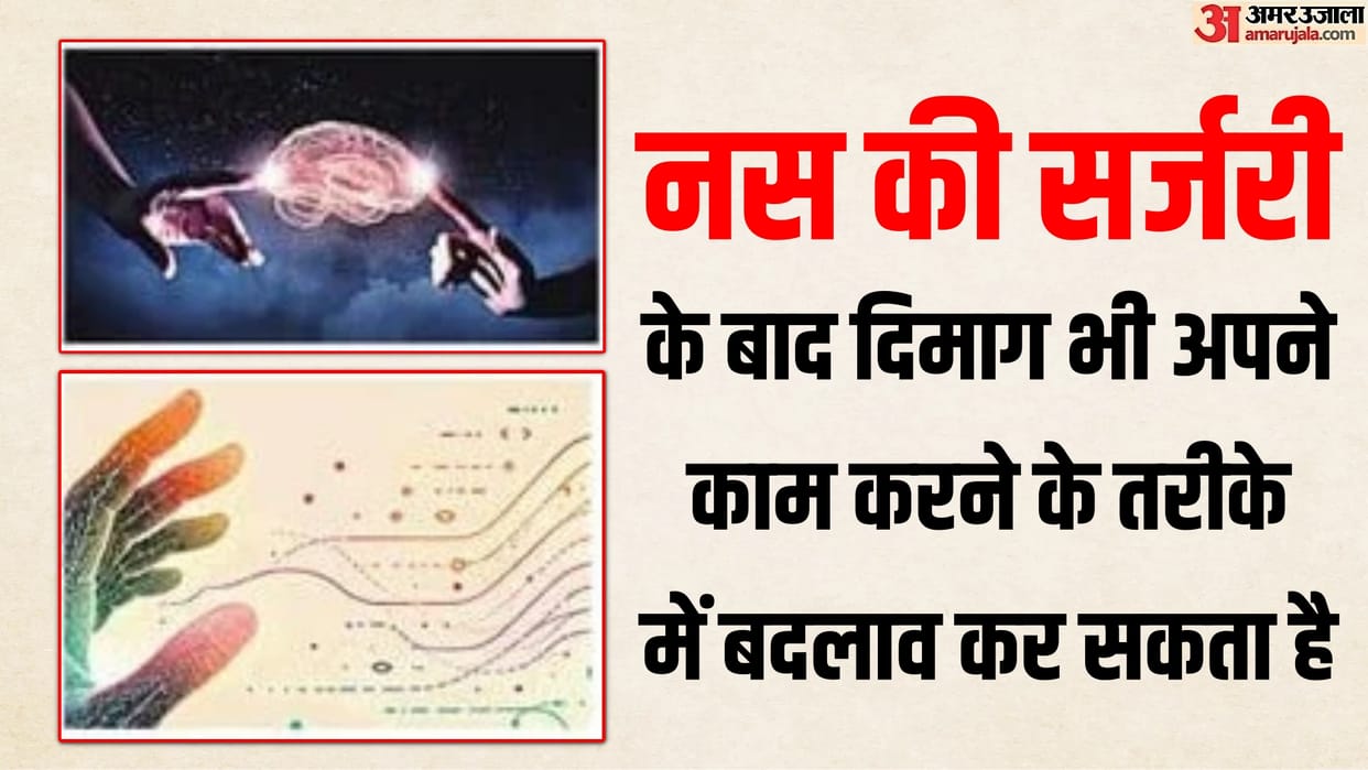 The other aspect How does brain function after nerve surgery what is the extent of impact on human brain