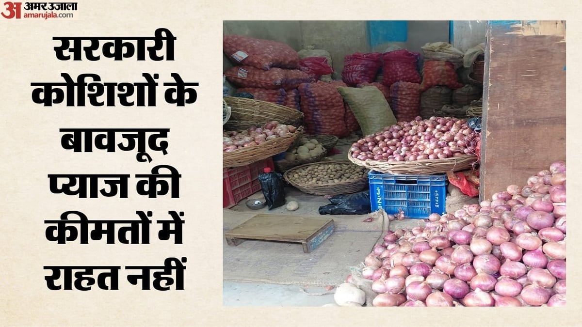 Onion Prices:सरकार की रियायती बिक्री के बावजूद प्याज की कीमतें आसमान पर, मेट्रो शहरों में कहां पहुंचा भाव? – Onion Prices Soar In Metros Despite Government Subsidised Sale