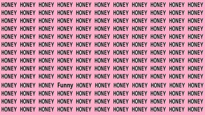 Honey की भीड़ में छिपा है Funny, सिर्फ जीनियस ही 25 सेकेंड में ढूंढ सकते हैं