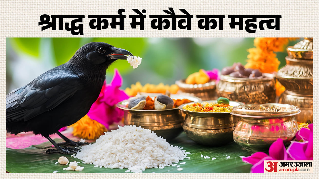 Pitru Paksha 2026 Does Shraddha Remain Incomplete If a Crow Doesn’t Appear Know the Religious Belief and Alt