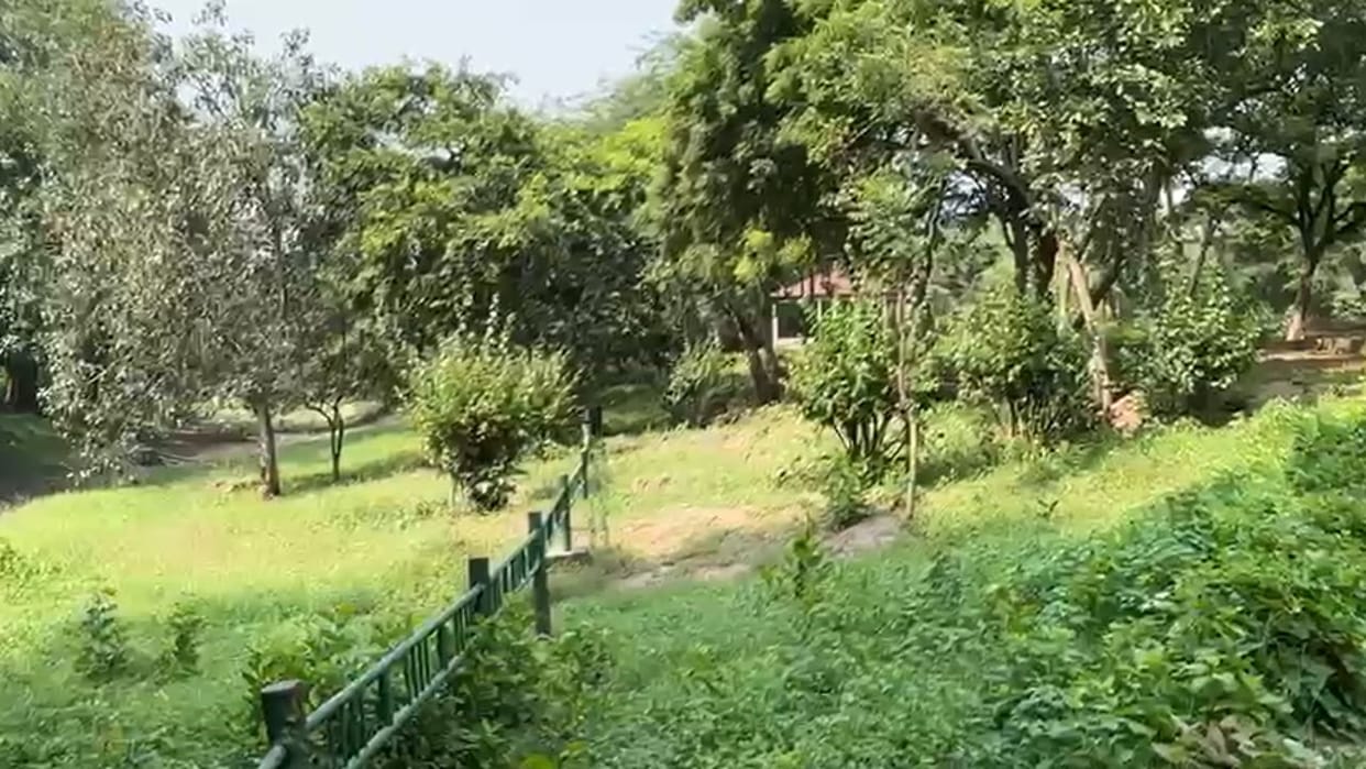 Following Aastha Kunj gang-misdeed case security audit of all parks in Delhi will now be conducted