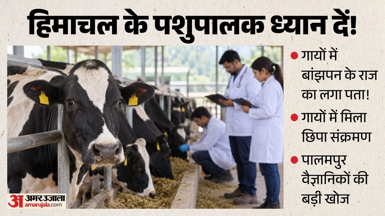 palampur agriculture university study uterine infection in crossbred cows