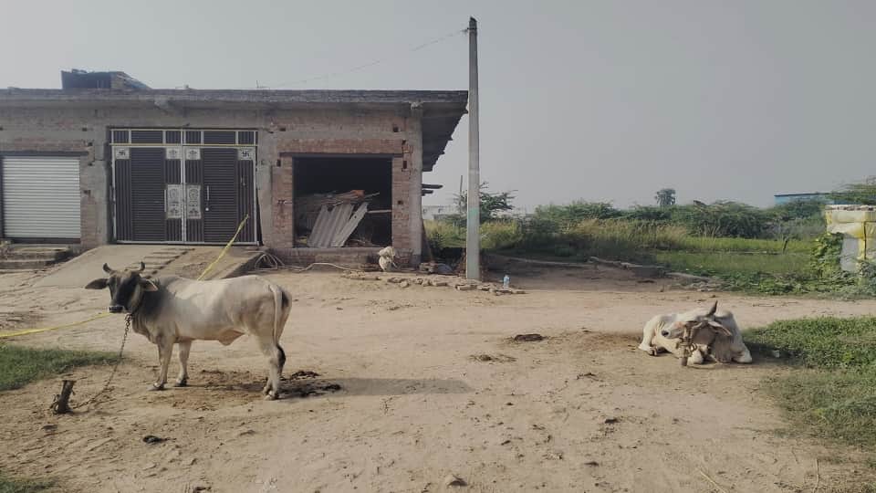 Etah Double Murder Man kills mother-in-law and wife by striking them with hammer