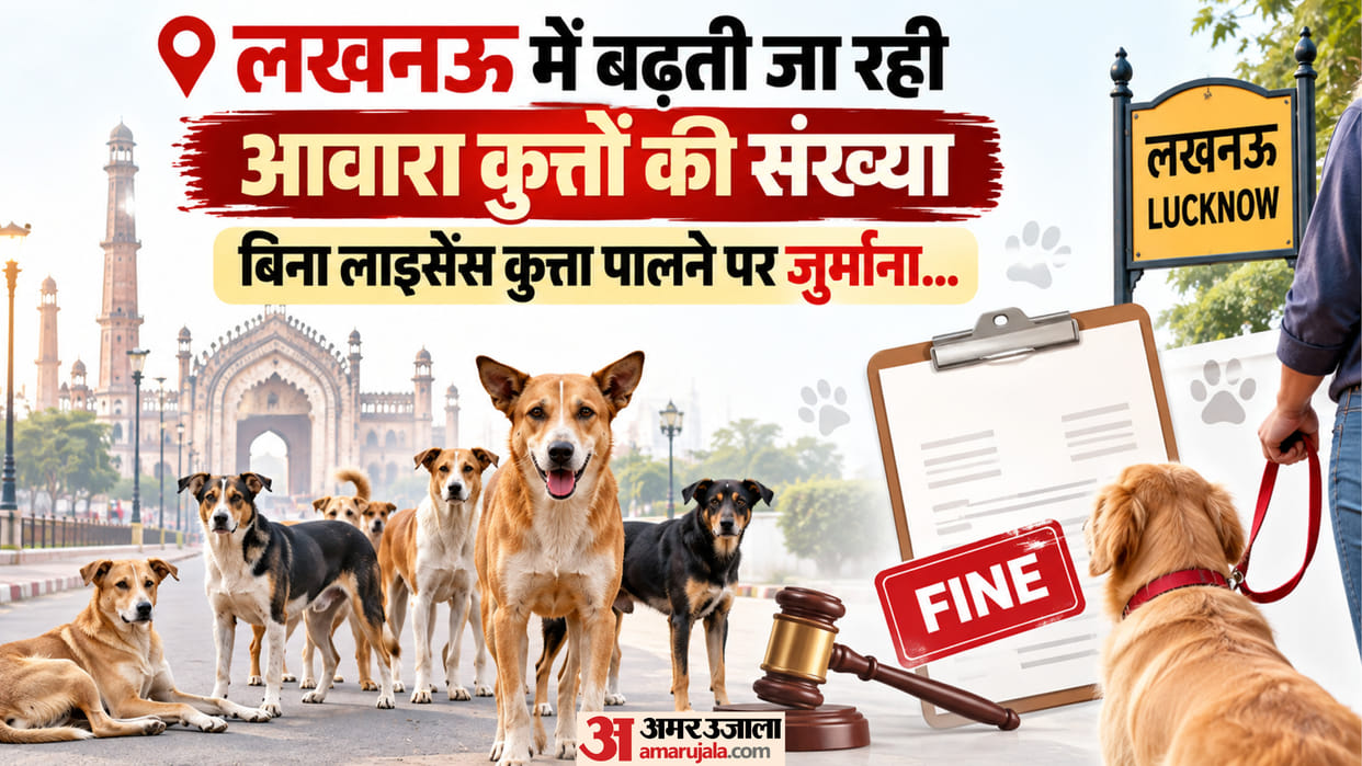 86,195 stray dogs in Lucknow numbers have risen by over 10,000 in seven years