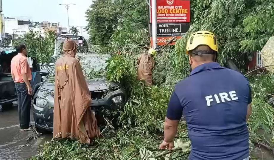 A tree fell on a car on Nainital Road Haldwani