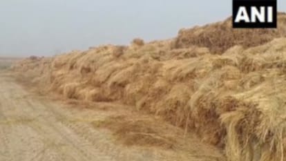 पराली