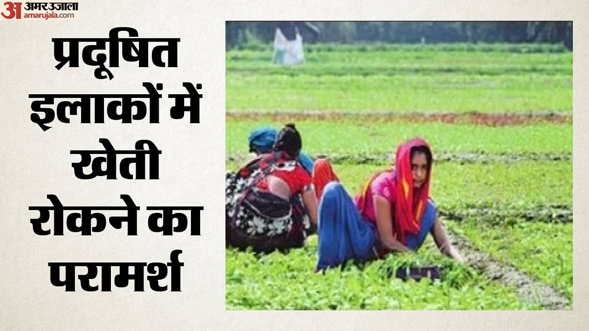 यमुना में घुला जहर सब्जियों में पहुंचा: डीयू के अध्ययन में मिली भारी धातुओं की अधिक मात्रा, निगरानी की सिफारिश
