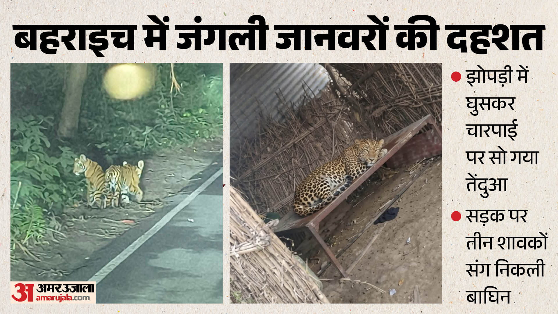 बहराइच में जंगली जानवरों की दहशत।