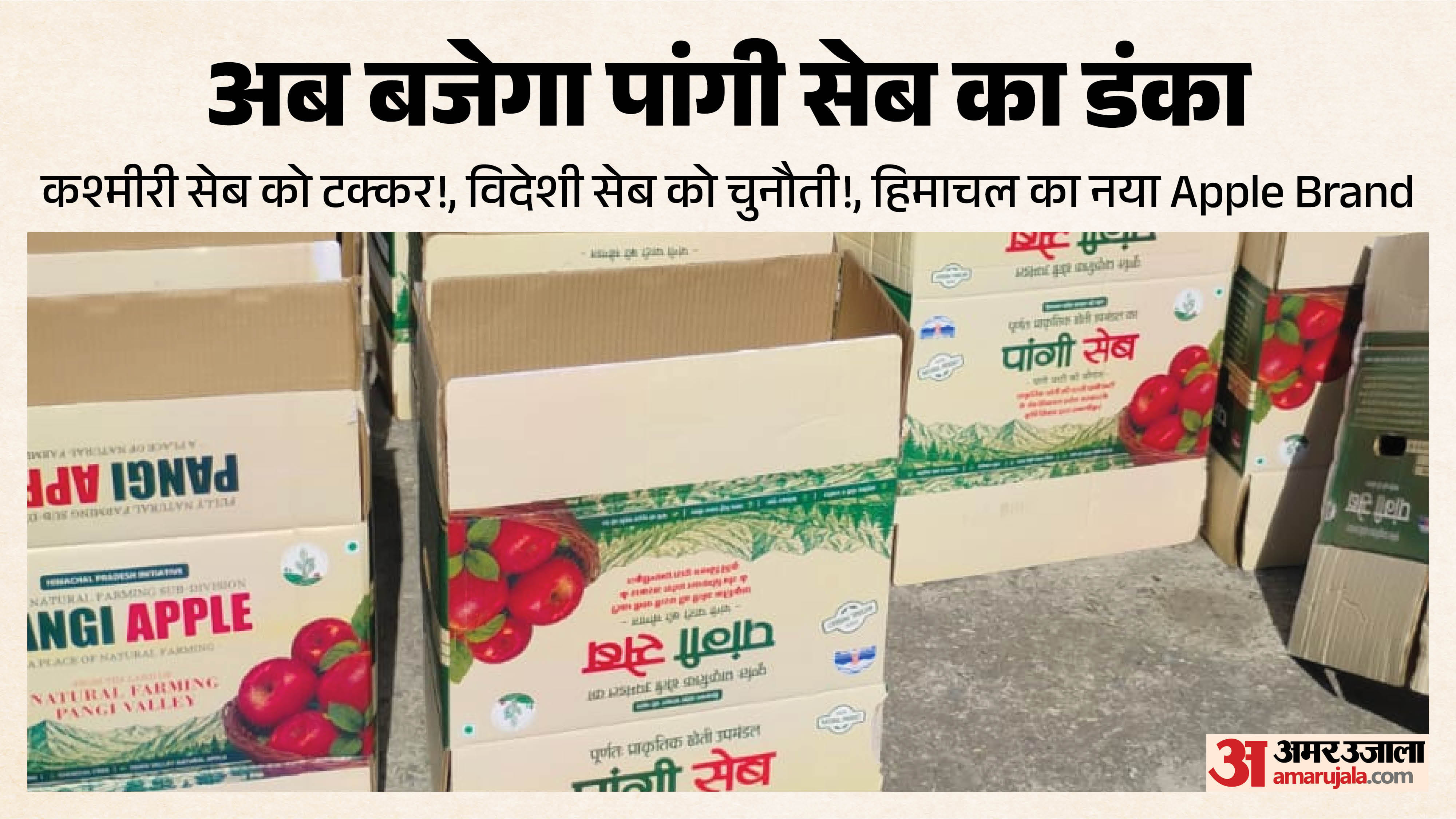 इन पेटियों में पैक होगा सेब।
