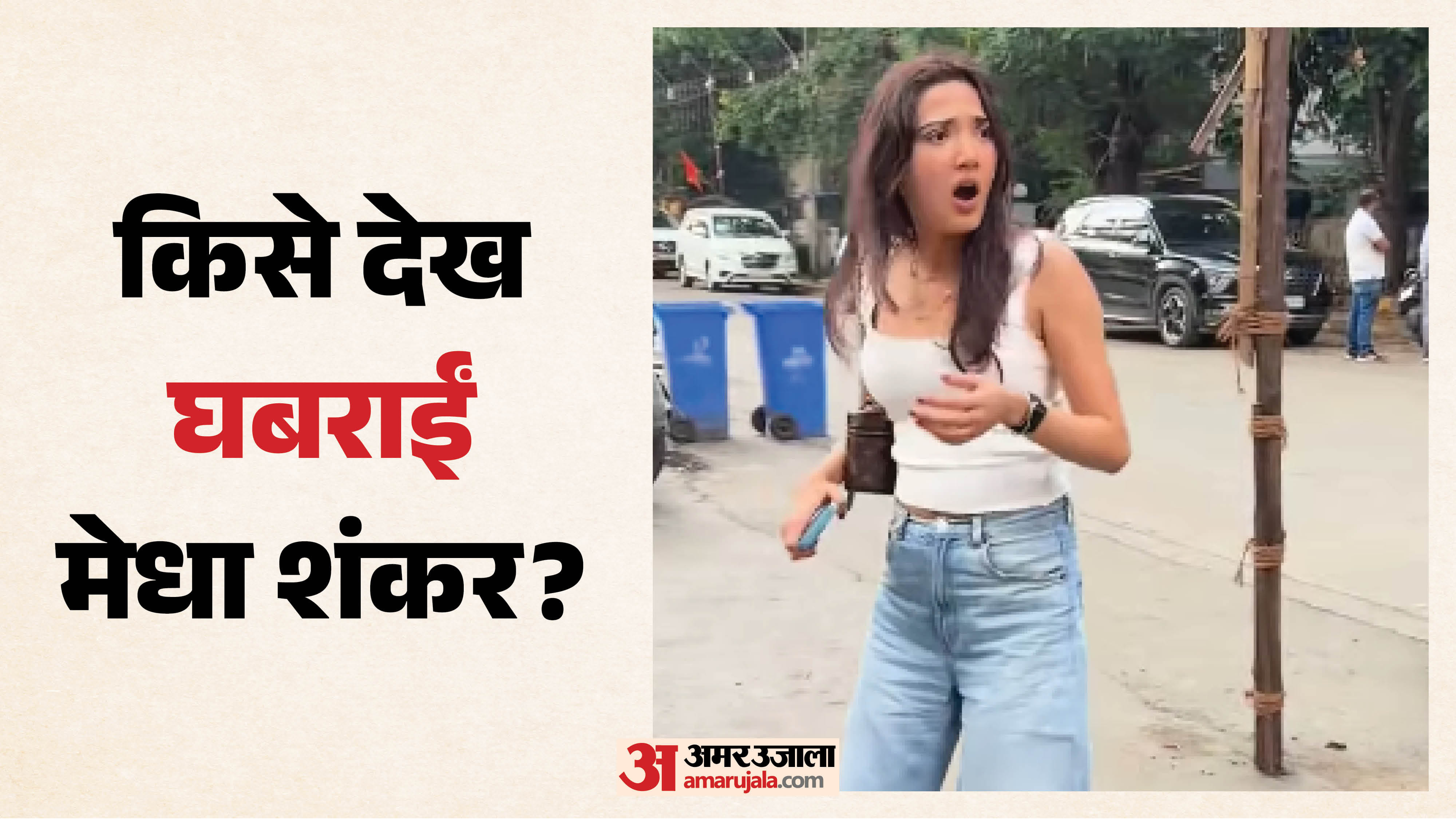 मेधा शंकर