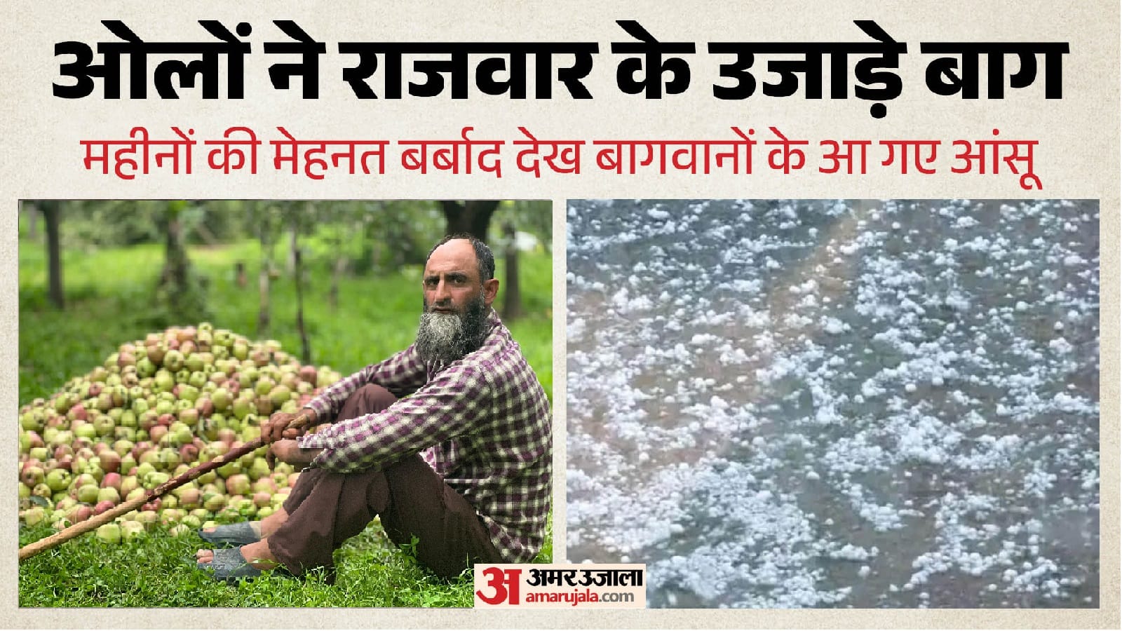 ओलों ने तोड़ी सेब बागवानों की कमर
